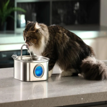 AquaPure Water Fountain Features